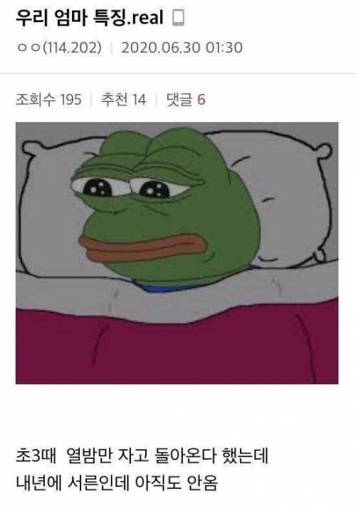 새벽감성.. 어느 야갤러의 엄마.jpg