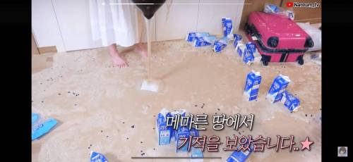 버블티 대참사.jpg