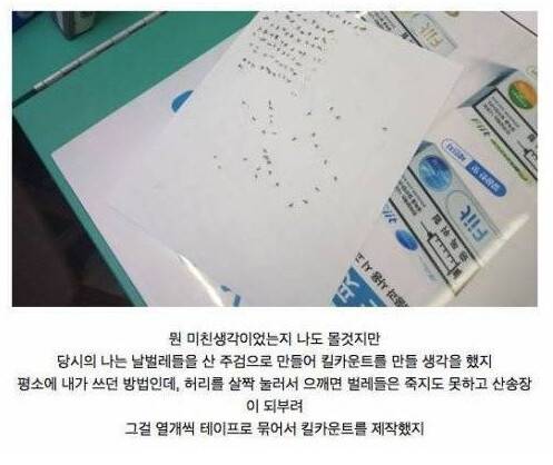 편의점 날벌레 학살사건