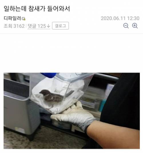 일하는 곳에 참새가 들어왔다.jpg