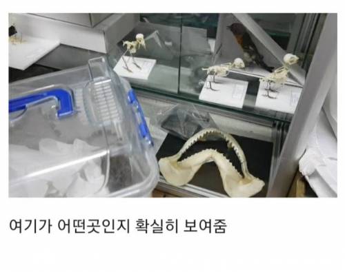 일하는 곳에 참새가 들어왔다.jpg