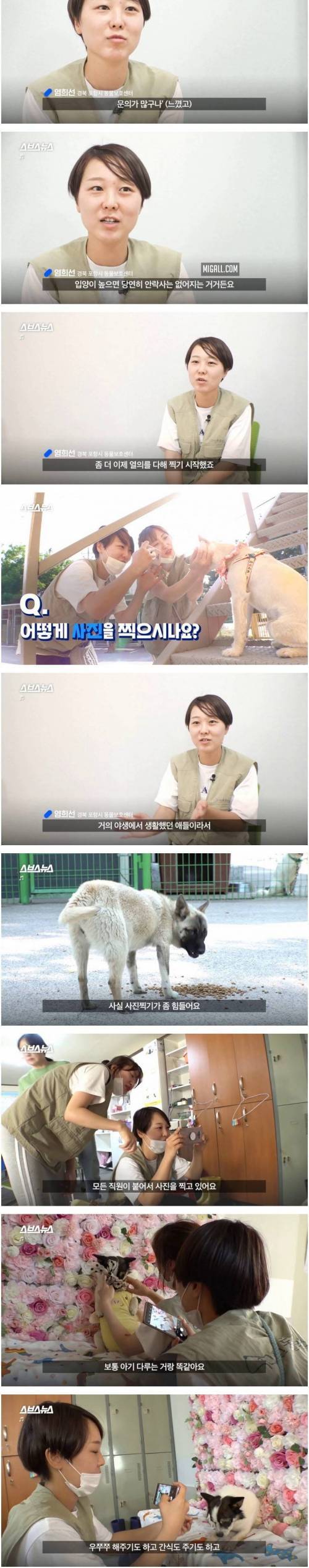 [스압] 댕댕이 인생샷 찍어주는 유기동물 보호소