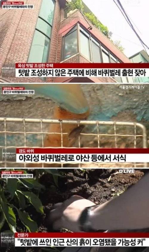 야산에서 흙 함부로 퍼오면 안되는 이유.eu