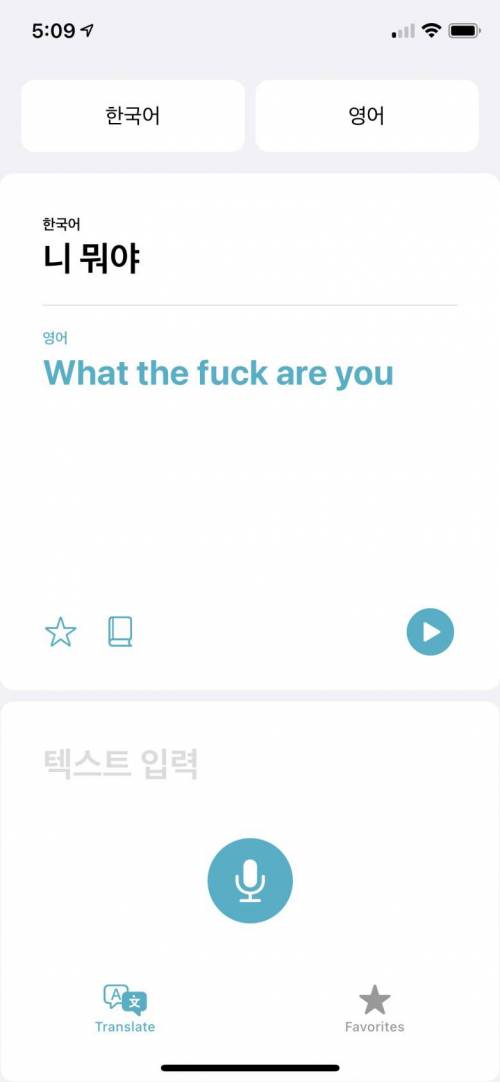 iOS 14 한국어 번역기 상황.jpg