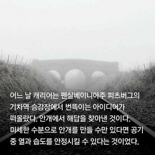 1년차 신입사원의 위엄.jpg