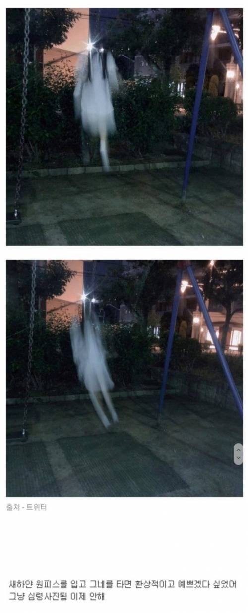 원피스 입고 그네타면 이쁠줄 알았다.jpg