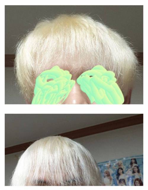 [스압] 산화제 많이 넣고 염색한 디씨인.jpg