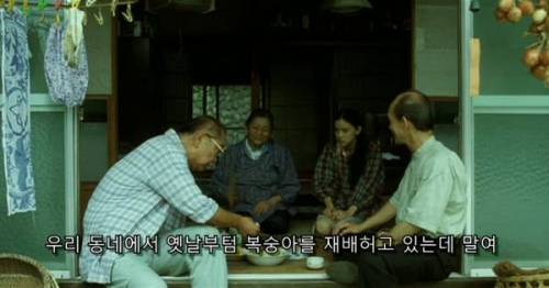 [스압] 시골 인심 수준.jpg