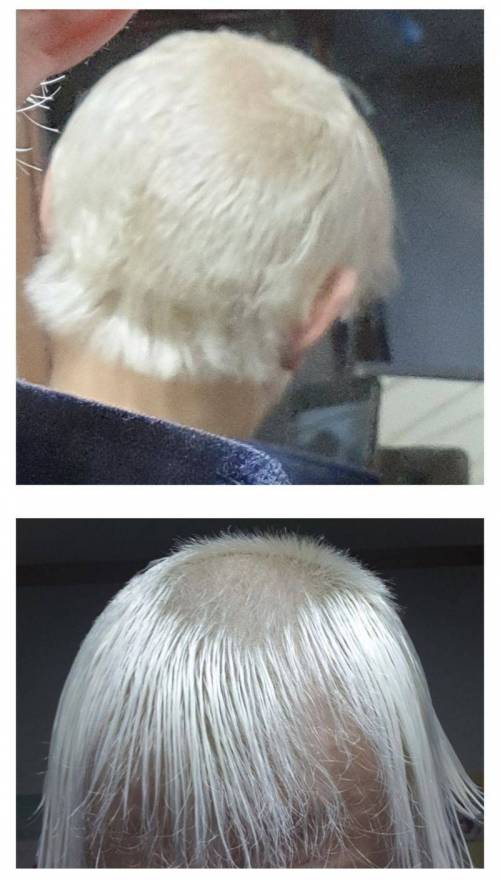 [스압] 산화제 많이 넣고 염색한 디씨인.jpg