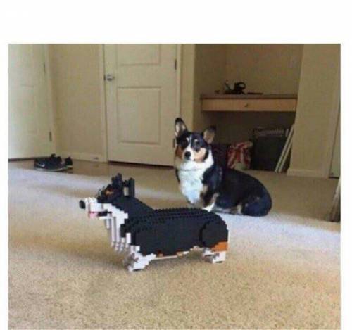144p vs 1080p