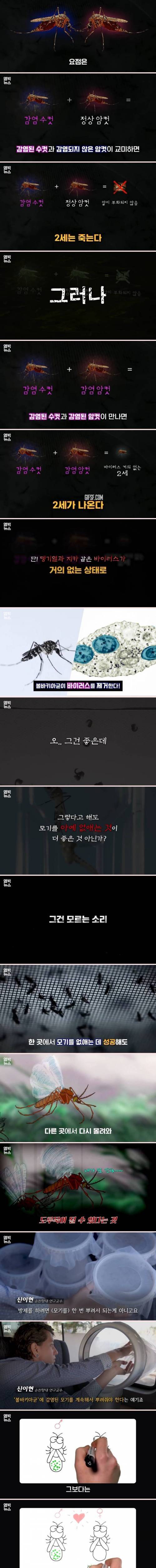 [스압] 구글의 모기 박멸작전