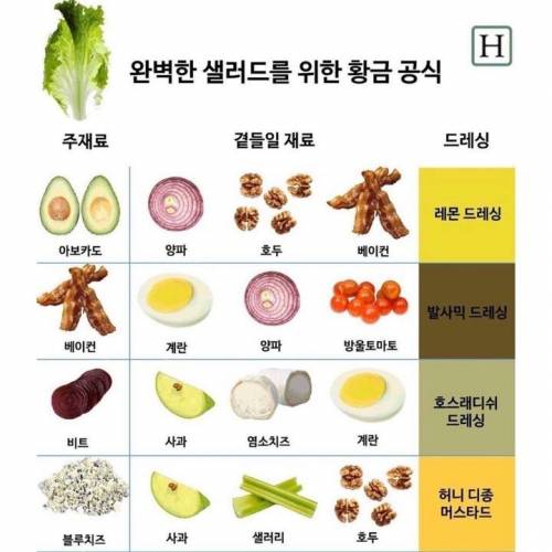 샐러드 황금조합 레시피 모음