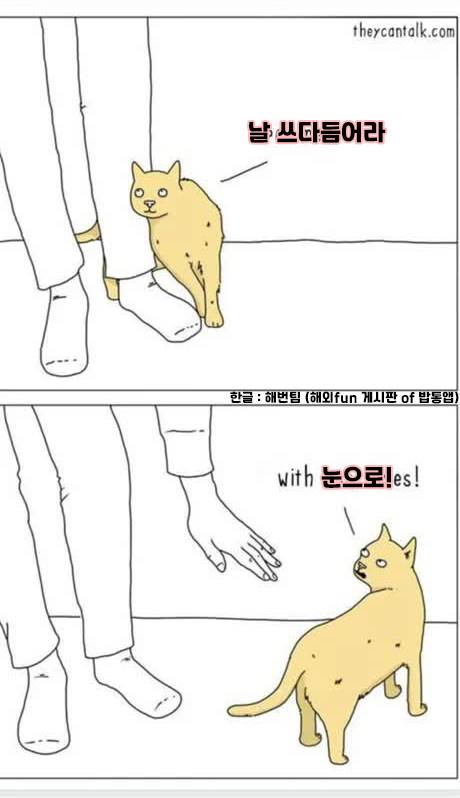 날 쓰다듬어라.jpg
