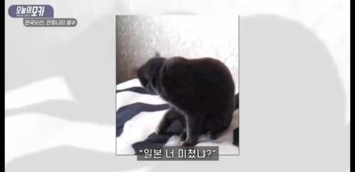 [스압] 닛산이 한국에서 철수한 또하나의 진짜 이유