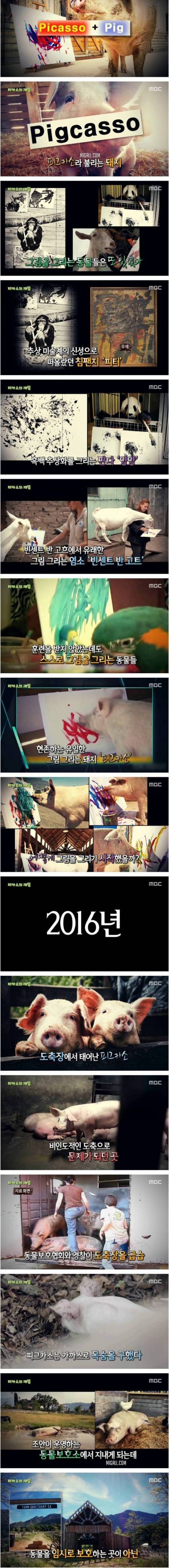 [스압] 남아공 피카소의 재림.jpg