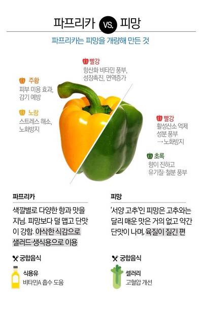 파프리카와 피망의 차이.jpg
