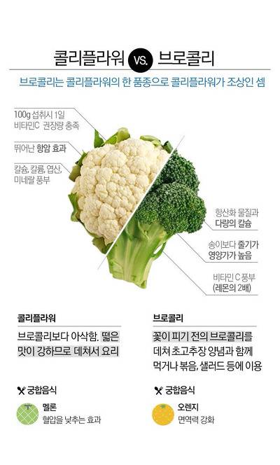 파프리카와 피망의 차이.jpg