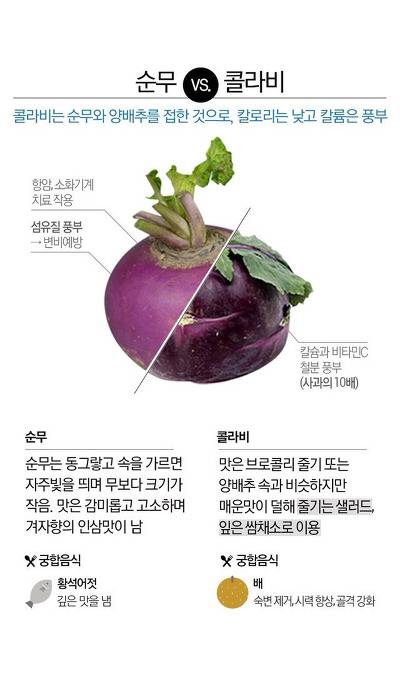 파프리카와 피망의 차이.jpg