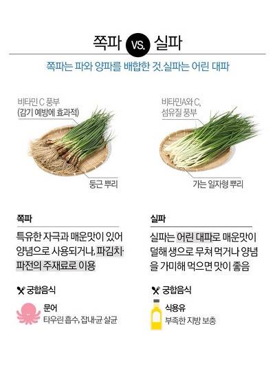 파프리카와 피망의 차이.jpg