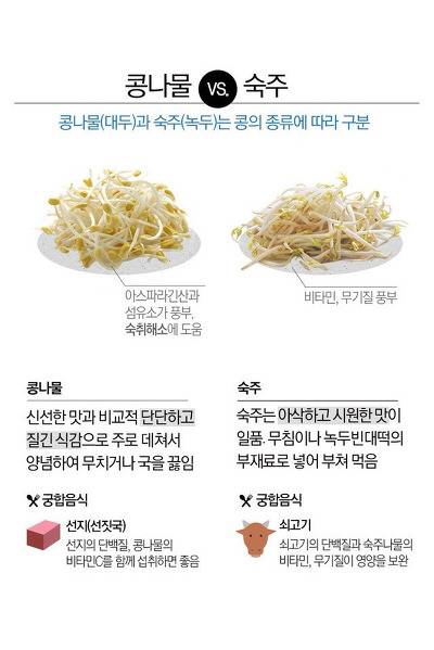파프리카와 피망의 차이.jpg