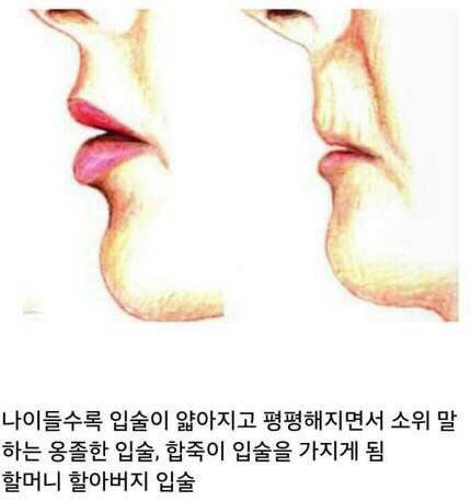 나이들수록 얼굴에서 급격하게 차이나는 것