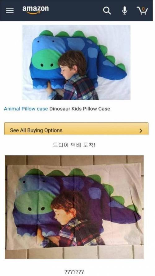 배게구입.jpg