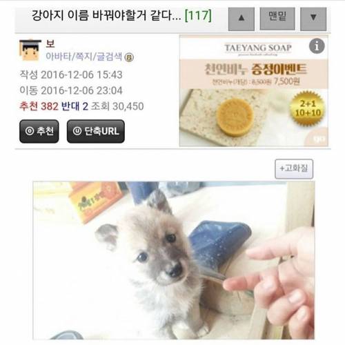 시장에서 강아지 한 마리 샀다