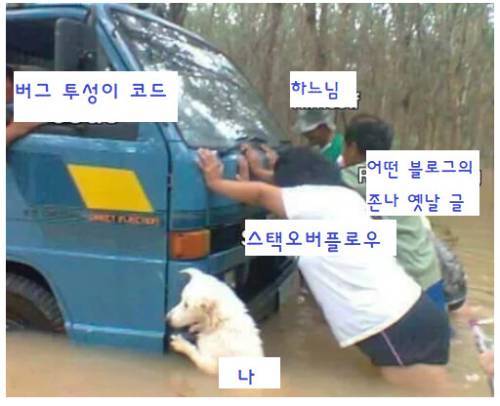 코딩 숙제 할 때.jpg
