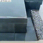 표면장력 놀이.gif