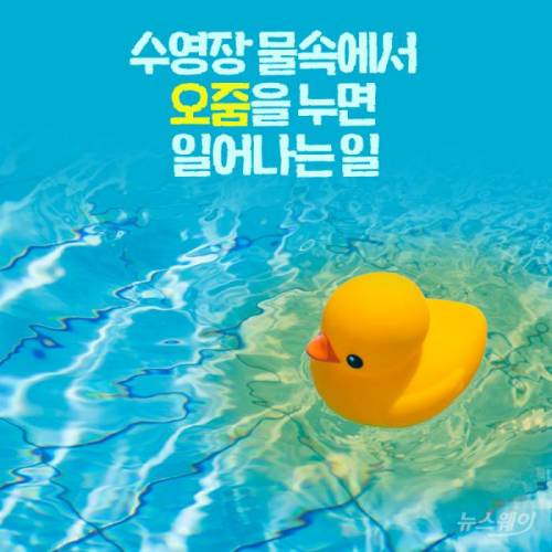 [스압] 수영장 물속에서 오줌을 누면 일어나는 일
