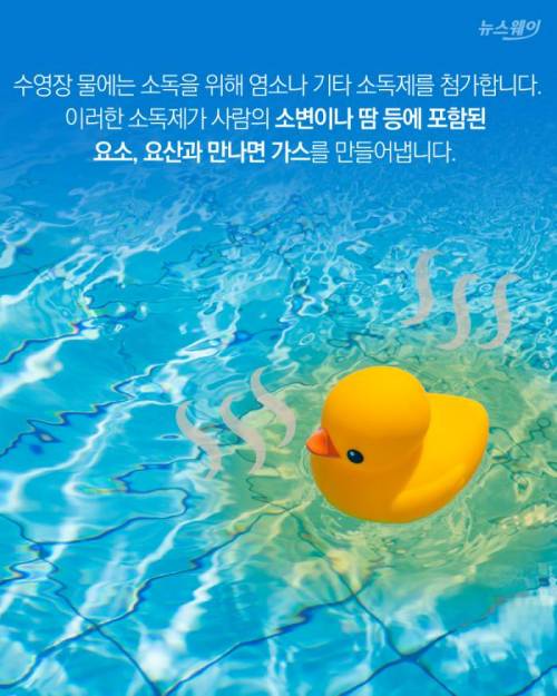 [스압] 수영장 물속에서 오줌을 누면 일어나는 일