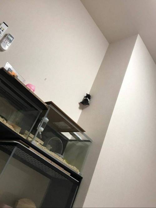 어딜도망가.jpg