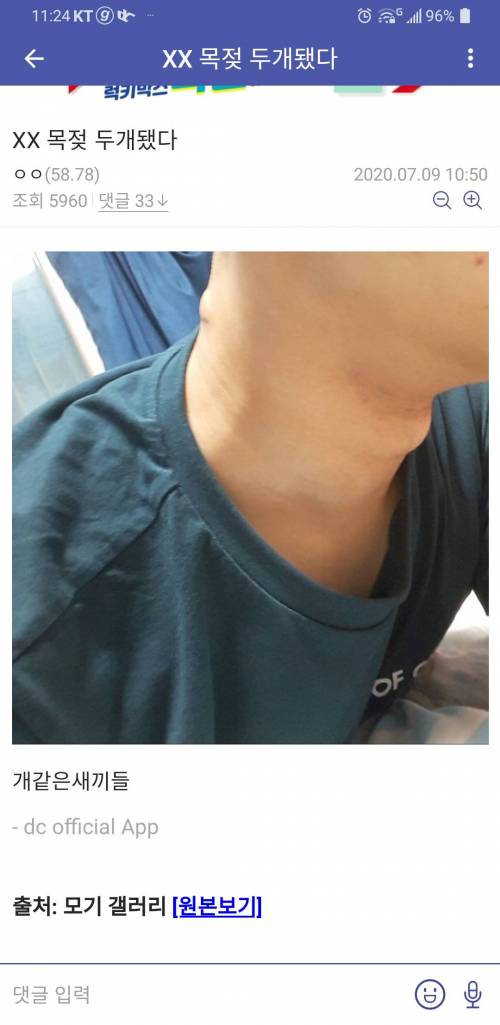 모기갤러리 근황.jpg