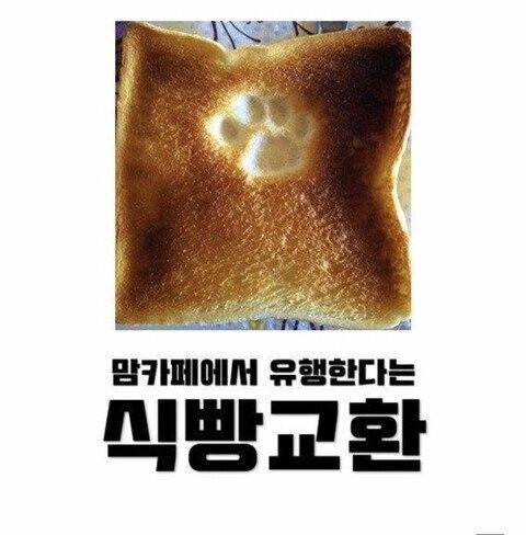 맘까페 에서 자리 잡은 너무나 당연한 공식甲..jpg
