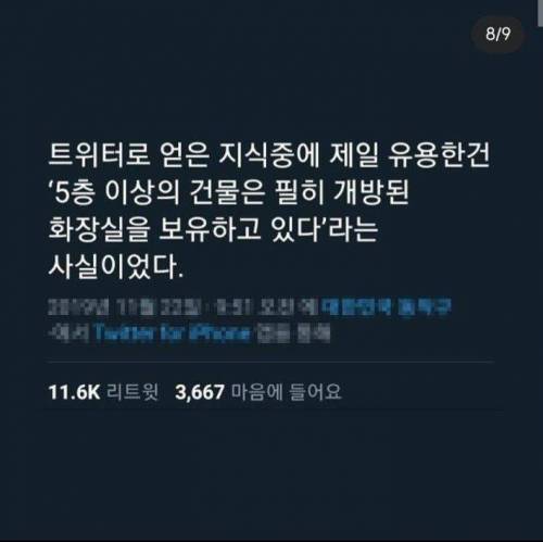 트위터에서 얻은 정보중 가장 의미있는것