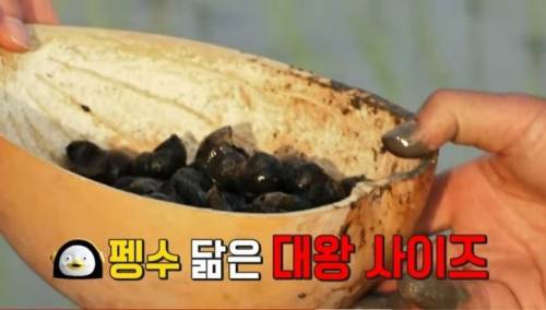 [스압] EBS에서 할 수 있는 최대한의 드립