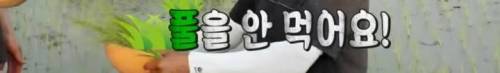 [스압] EBS에서 할 수 있는 최대한의 드립