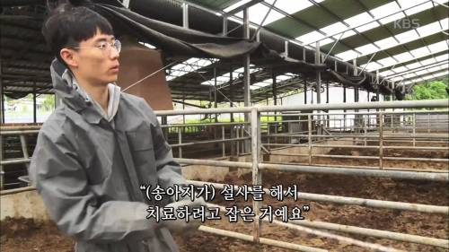 왜 그렇게 묶는 거예요?