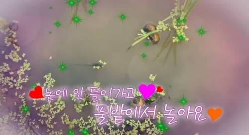[스압] EBS에서 할 수 있는 최대한의 드립