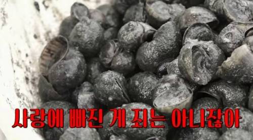 [스압] EBS에서 할 수 있는 최대한의 드립