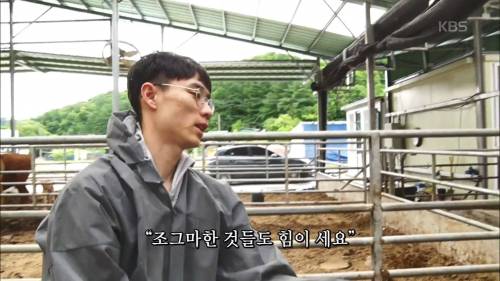 왜 그렇게 묶는 거예요?