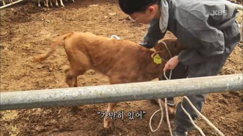 왜 그렇게 묶는 거예요?