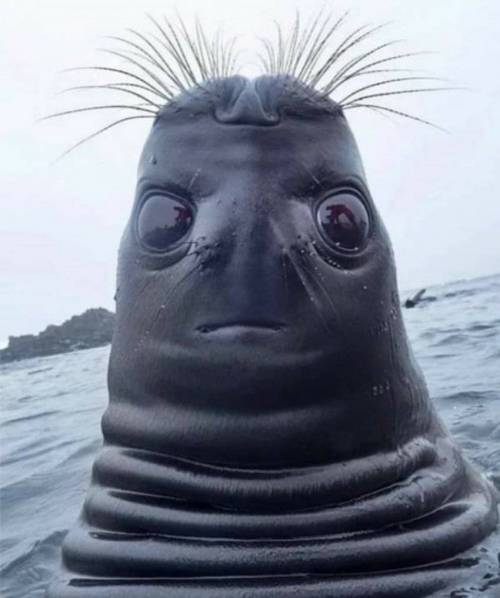 조금 다른 각도의 물댕댕 사진.jpg