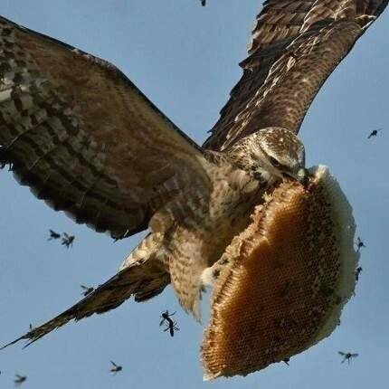 매형이 집 가지고 날랐습니다!.jpg