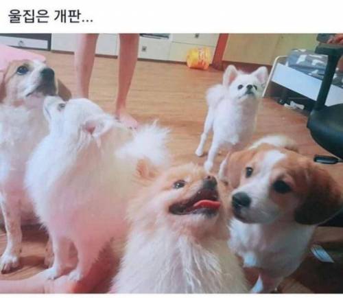 집주인 아저씨가 오늘 당장 방 빼라고 하네요
