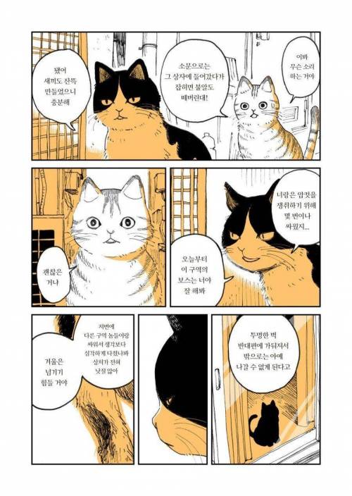 두목고양이 은퇴하는 만화