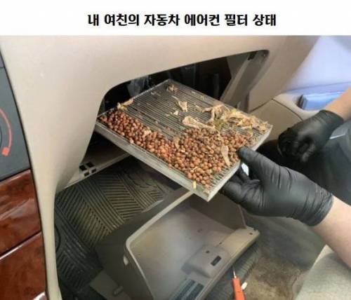 [스압] 정비소의 흔한 일상.jpg