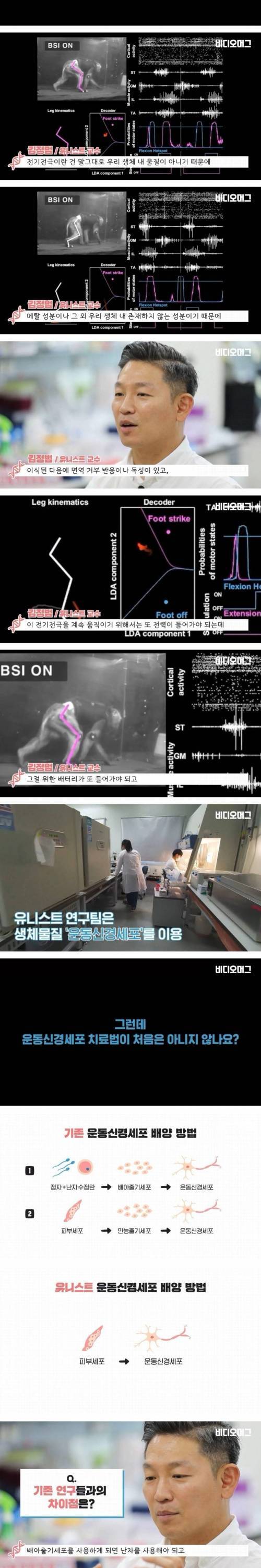 [스압] 하반신 마비 생쥐를 다시 걷게 만든 김정범 교수 연구팀.jpg