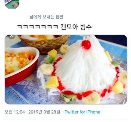 친구들이 우리 집 고양이더러 눈꽃빙수래