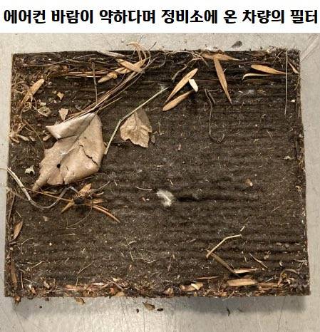 [스압] 정비소의 흔한 일상.jpg